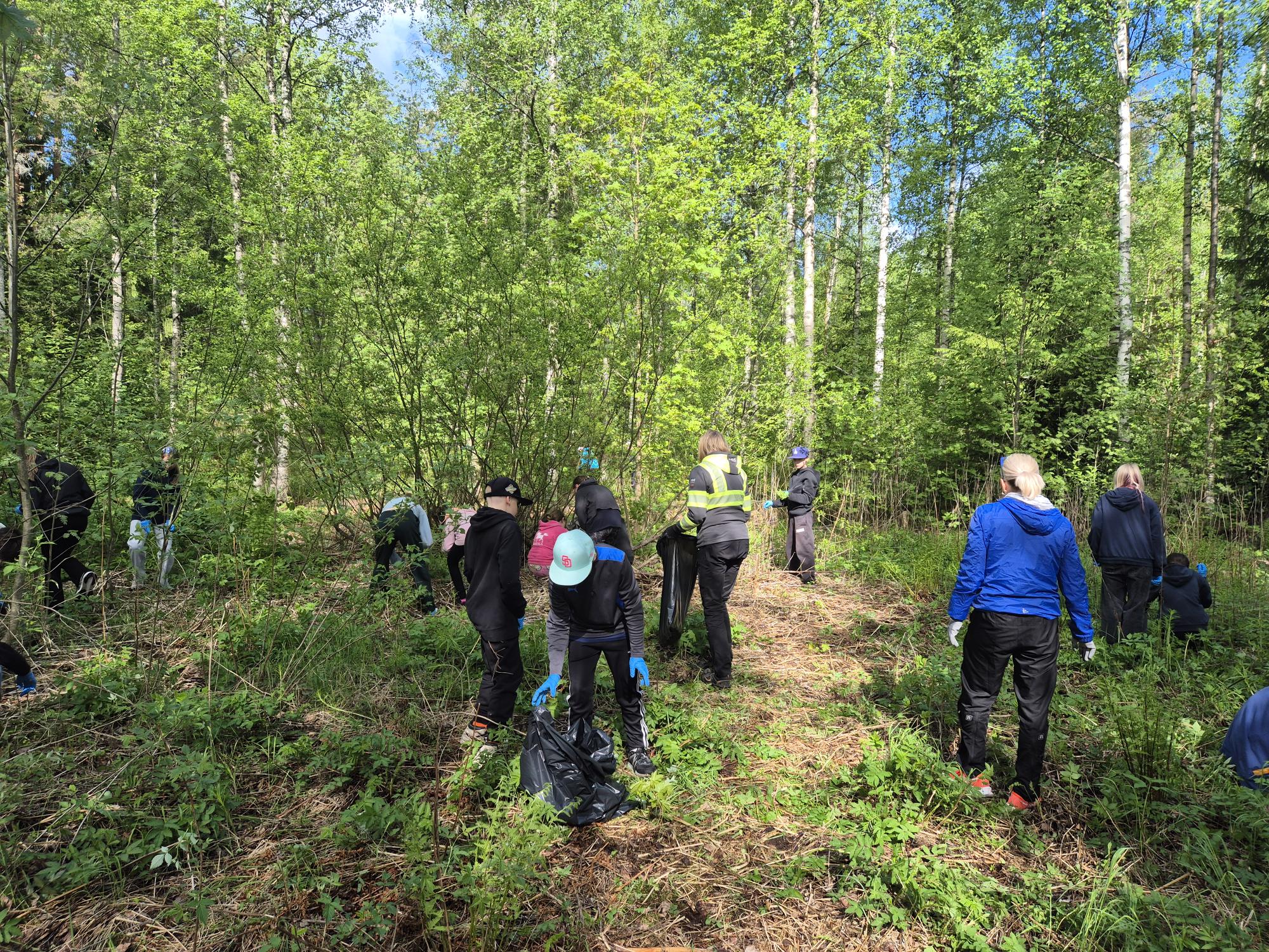 vitosluokkalaiset kitkemässä jättipalsamia metsässä