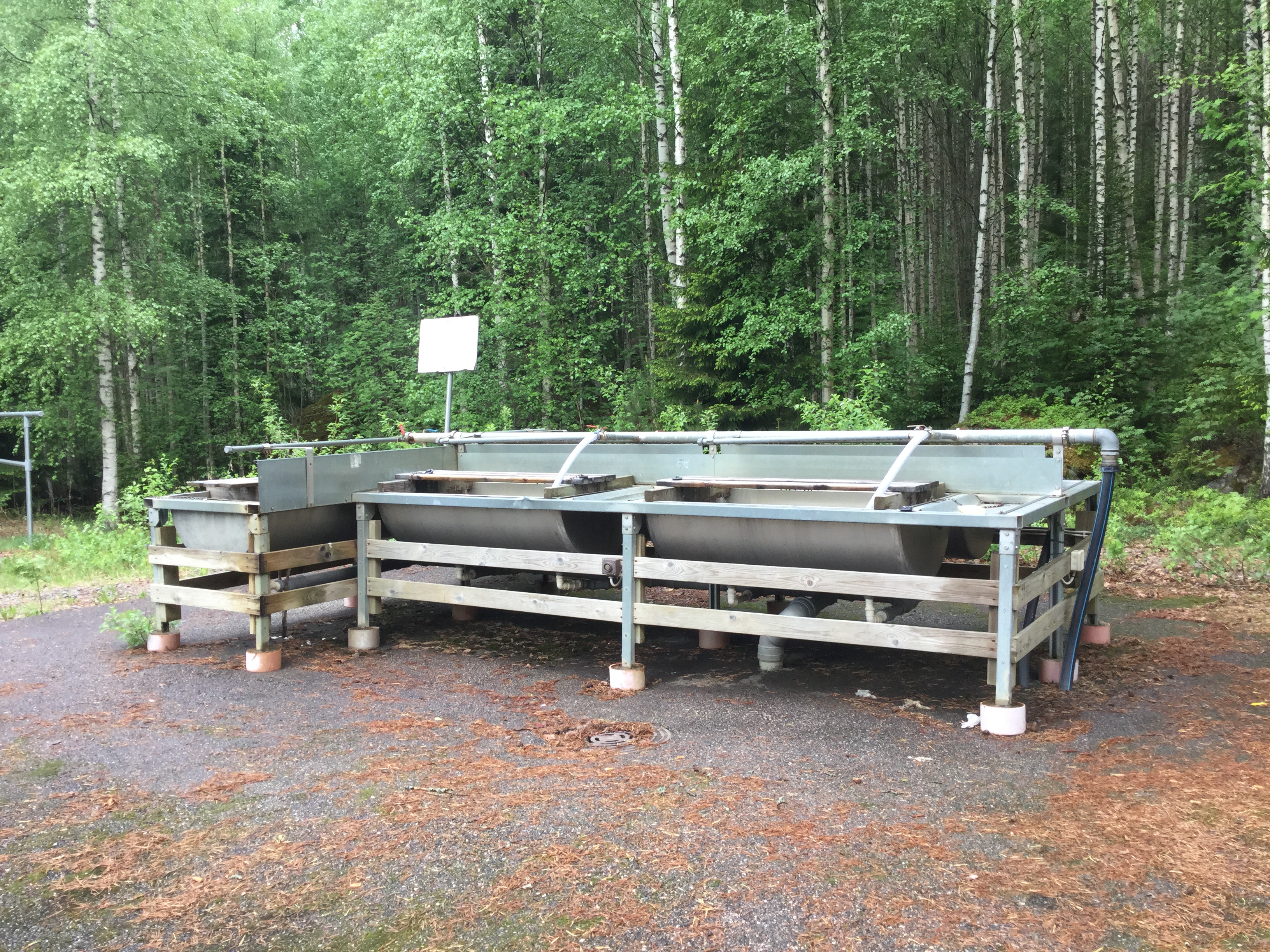 Oritlammen matonpesupaikka