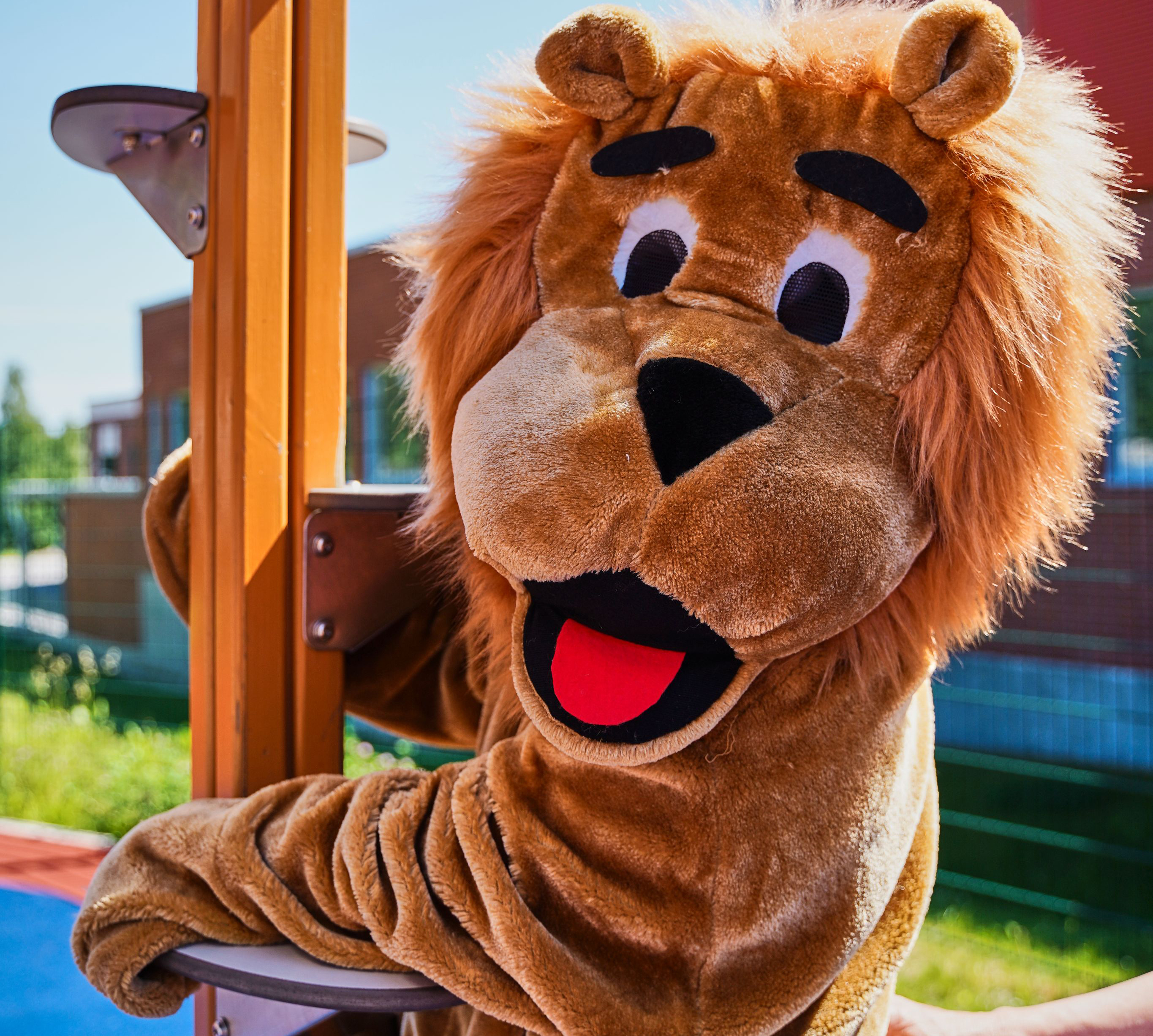 Leijona kiipeilytelineellä