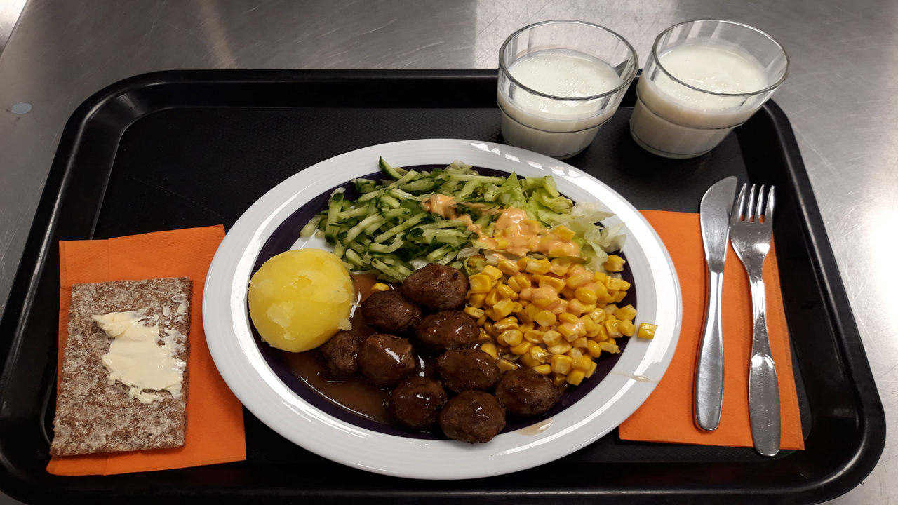 Malliannos kouluruuasta