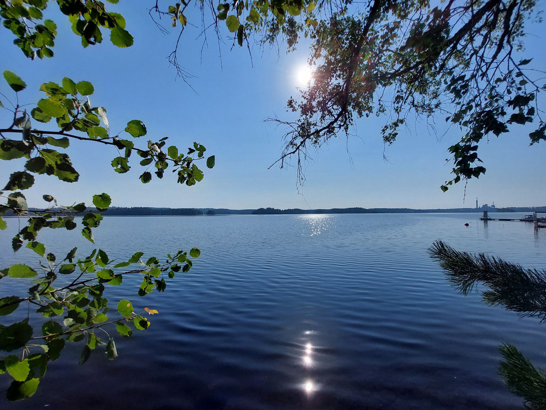 Maisema järvelle, etualalla lehti- ja havupuiden oksia, taustalla järvi ja metsää